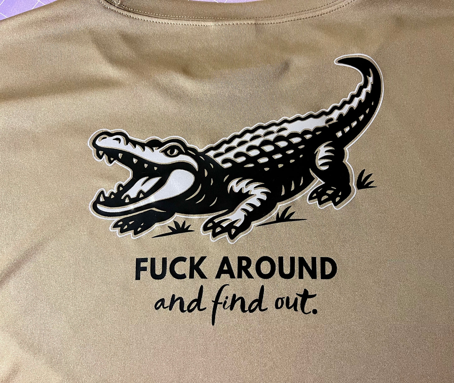 Army 12N T-shirt F Around and Find Out